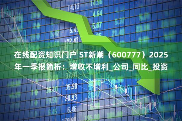 在线配资知识门户 ST新潮（600777）2025年一季报简析：增收不增利_公司_同比_投资