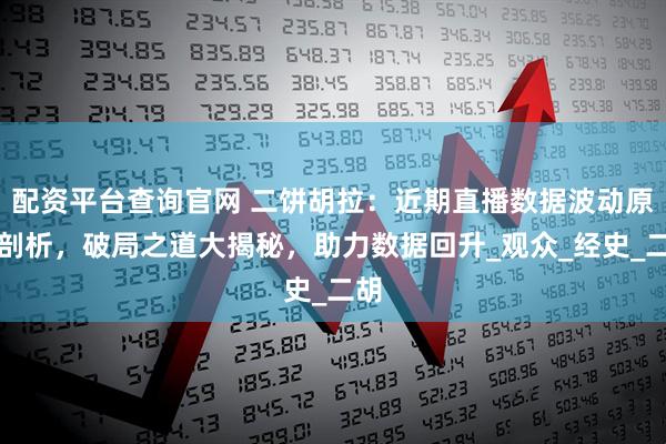 配资平台查询官网 二饼胡拉：近期直播数据波动原因剖析，破局之道大揭秘，助力数据回升_观众_经史_二胡